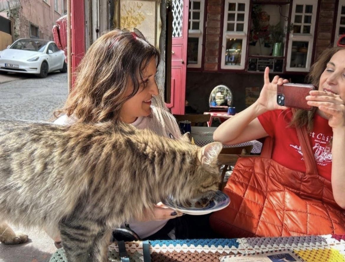 Nefise Gürsel Erbilim (@nefiseerbilim) on Twitter photo 