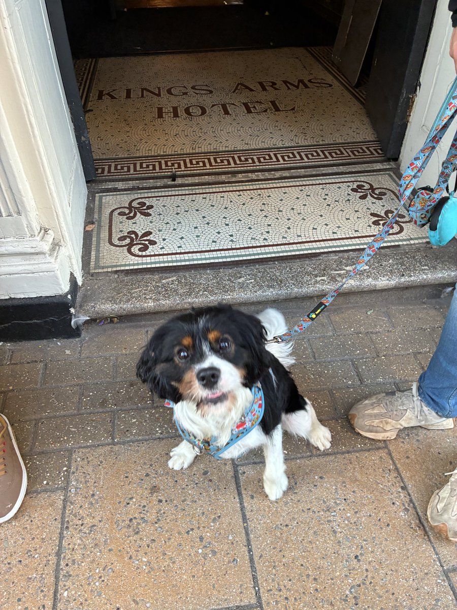 No #Dogs on the #Wallk last night, but still had a lovely group who enjoyed the walk. Had a lovely conversation at the end with a couple of the children on the nature of #ghosts. In the meantime here a pictures of the #Canine loves from previous walks