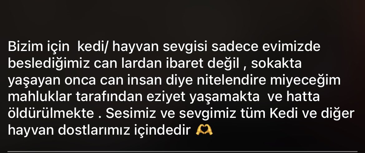 8Ağustos Dünya Kedi Günü Kutlu Olsun 🫶♥️