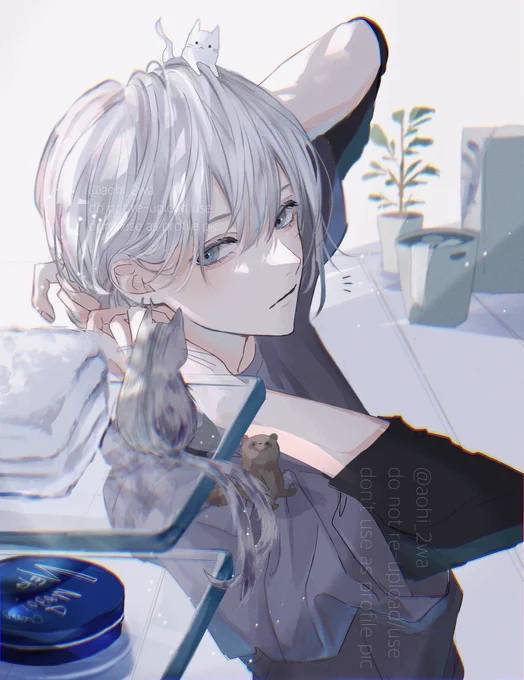 世界猫の日𓃠