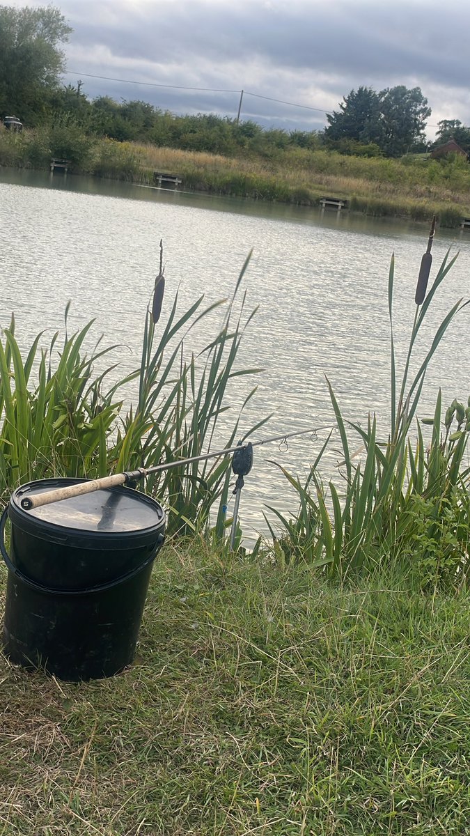 Finally ended my #UKblankingscene streak yesterday evening fishing 2 1/2 hours into dark catching a few little ones out the local pool 🎣
<a href="/5calesandtails/">scalesandtails</a> 
#fishing #fishingtrip #carpfishing #fisherman #carp #commoncarp