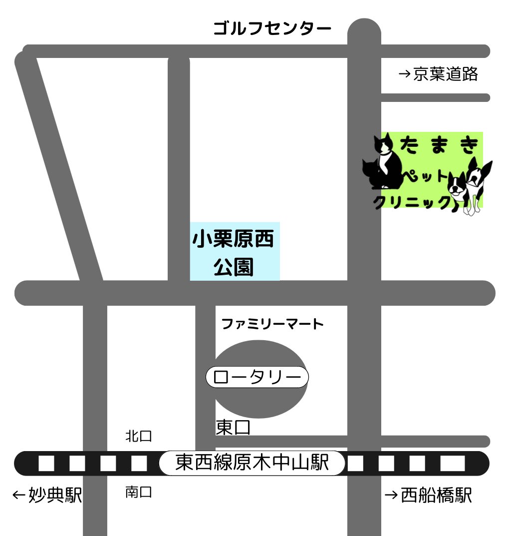 明日8/9(土)のお昼は譲渡会！

12:30〜14:30
原木中山のたまきペットクリニックにて。

ご予約不要です。
キジ白のゆかりちゃん、
茶トラサブレ君も参加します！

暑いですが、ご縁を待つ保護猫たちがたくさん参加します。

#世界猫の日 
#譲渡会