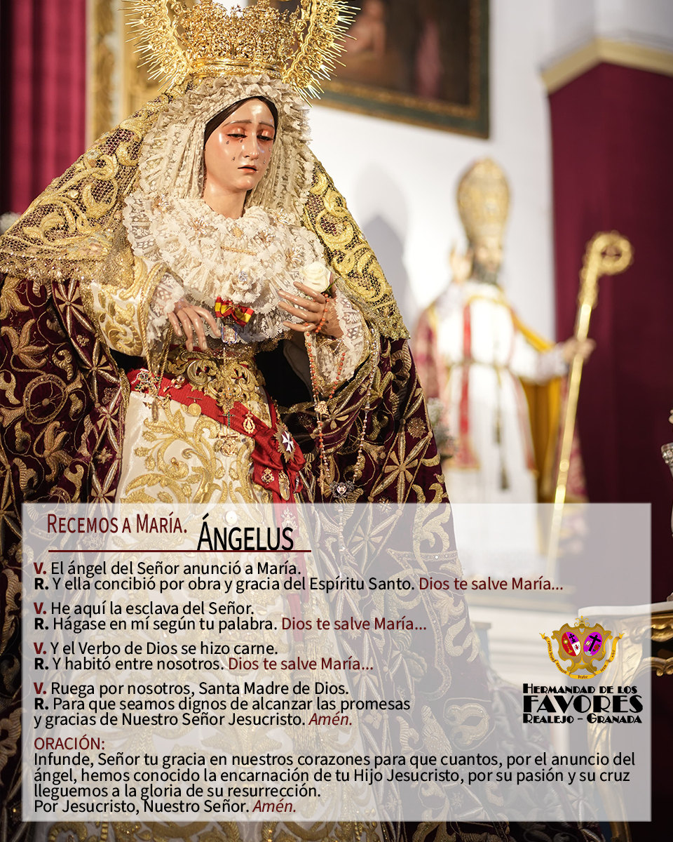 #ÁNGELUS 
 A las 12:00 h te invitamos a rezar el Ángelus a la Santísima Virgen de la Misericordia y poner en sus manos todas tus plegarias e intenciones.