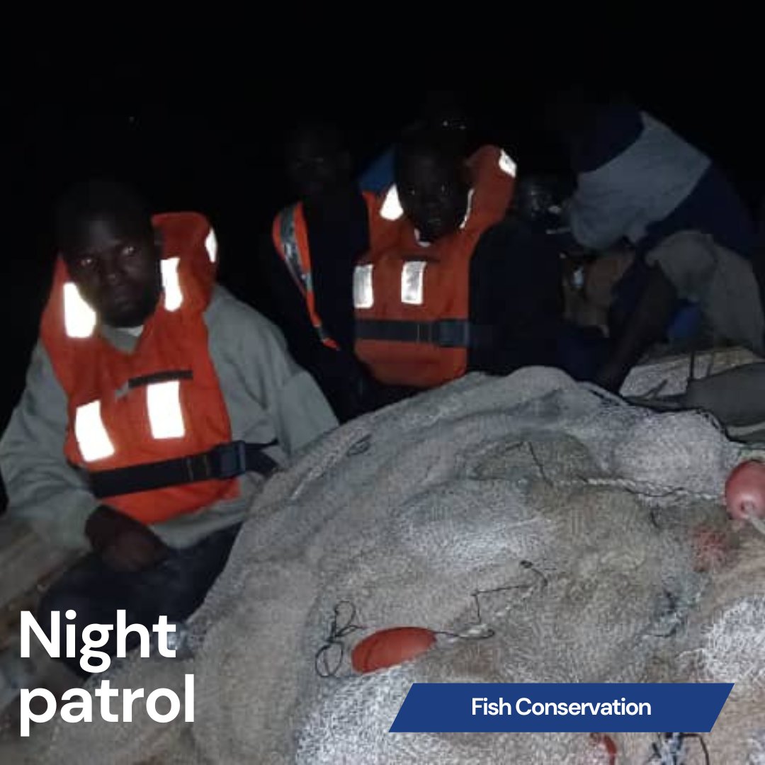 Excuse the poor night photo but here are some of the members of the Kafuzira Sub Fisheries Association in Nkhotakota after a successful night patrol. They confiscated an illegal Nkacha net which measured an incredible 192.3 metres long.

#lakemalawi #conservation #Malawi #Africa