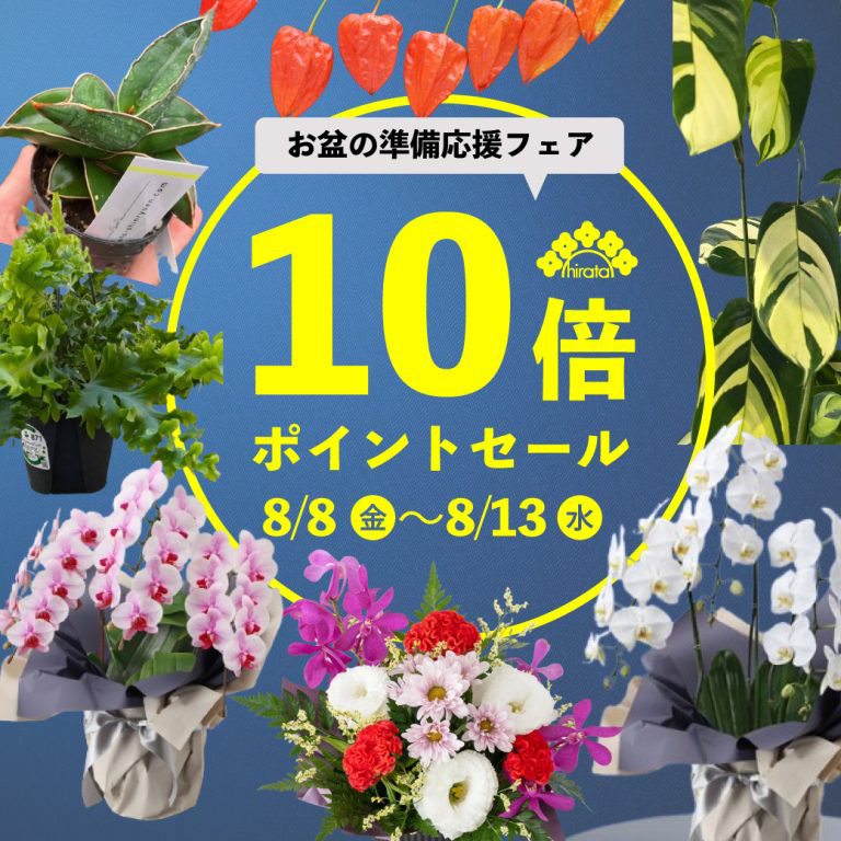 Hirata_Nursery_official【平田ナーセリー】 (@hirata_nursery