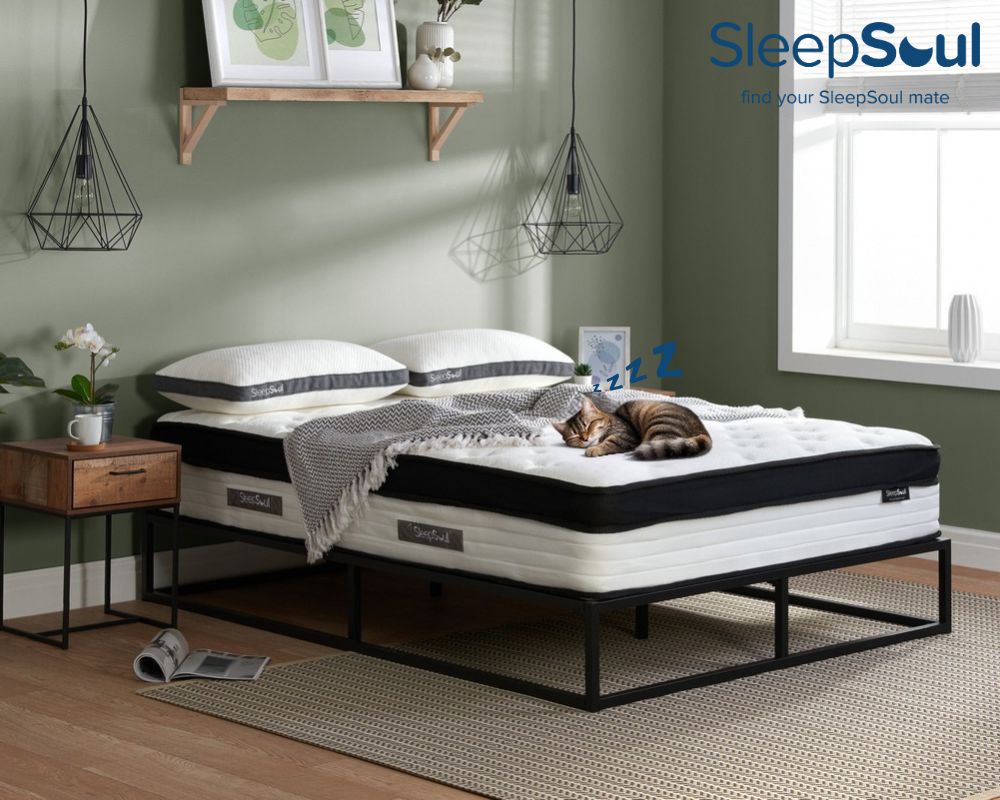 Happy International Cat Day! 🐾

At SleepSoul, we know it’s not just humans who love a good snooze — cats do too!

Our hybrid mattresses from memory foam, pocket springs &amp; cooling gel are so comfy, your cat won’t resist curling up.

Find yours today at zurl.co/bARiK