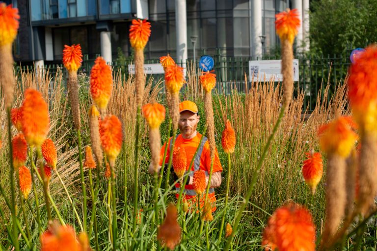 Climate Cares tweet media