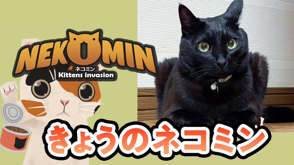 ネコミン-NEKOMIN- (@Nekomin_jet) / Posts / X