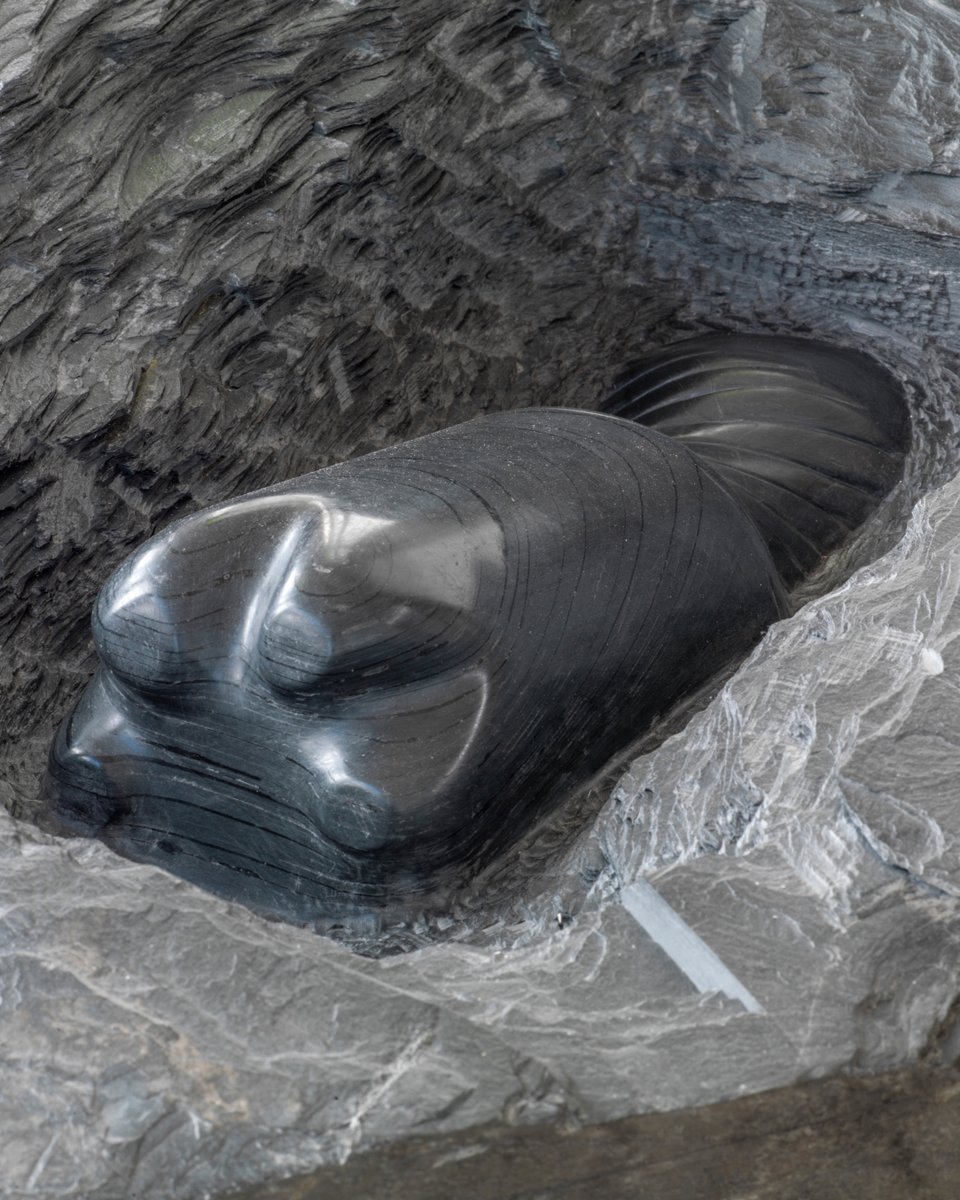 35 Years in San Gimignano 🎉

To mark this milestone, we’re launching three exhibitions opening on Saturday, 20 September | 16:00 – 23:00

"Ruido Blanco" | Yoan Capote
"Vestigia" |  by Alicja Kwade
“A Room On The Moon” | group show