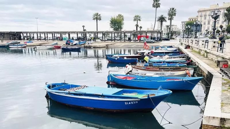Tendenza #SetJetting

Da Matera ad Aosta, da Modena alla Scozia: numerose le mete viste sul piccolo schermo e ricercate, tra serie e film di successo. Con qualche attenzione per l’ambiente

Su Repubblica Viaggi 🤩👇🏻

repubblica.it/viaggi/2025/08…

#reportage #repubblicaviaggi #film