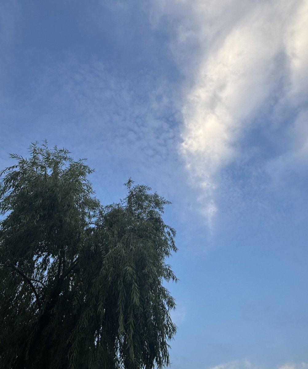 자신의 발로 걷고 있는 사람들은 약간의 차이가 있으나 기본적으로 평등하다고 했던가,.