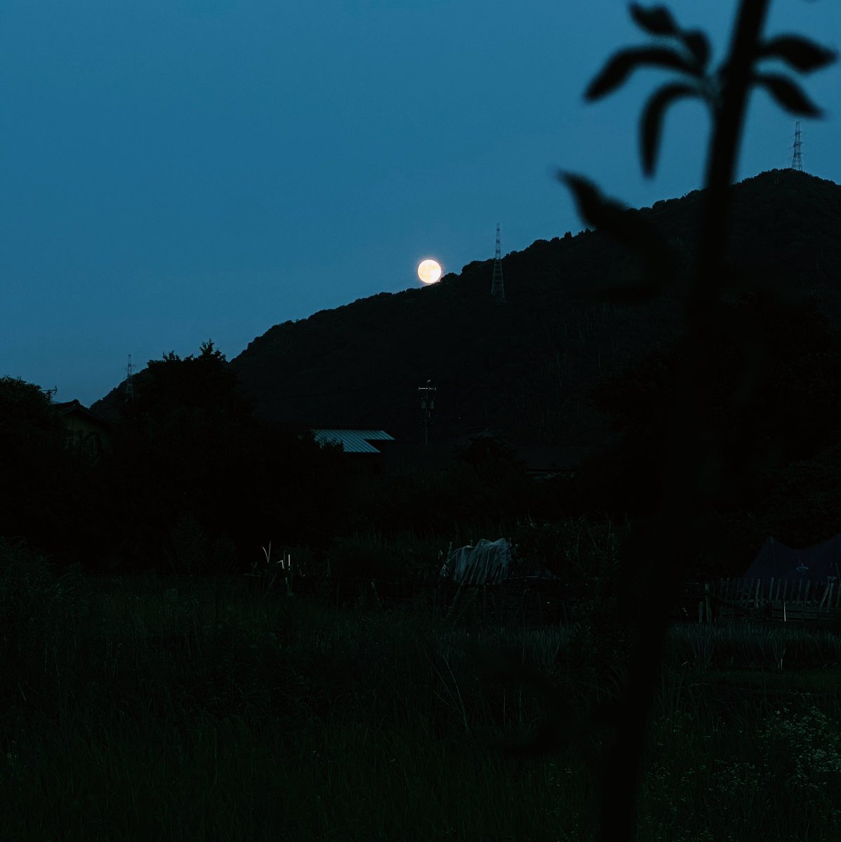 nimbus__2022's tweet image. 満月イヴ　#イマソラ