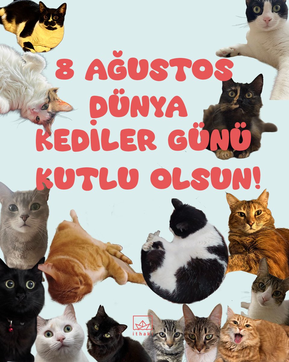 Daesy55676957's tweet image. #dünyakedilergünü 👏👏😻
