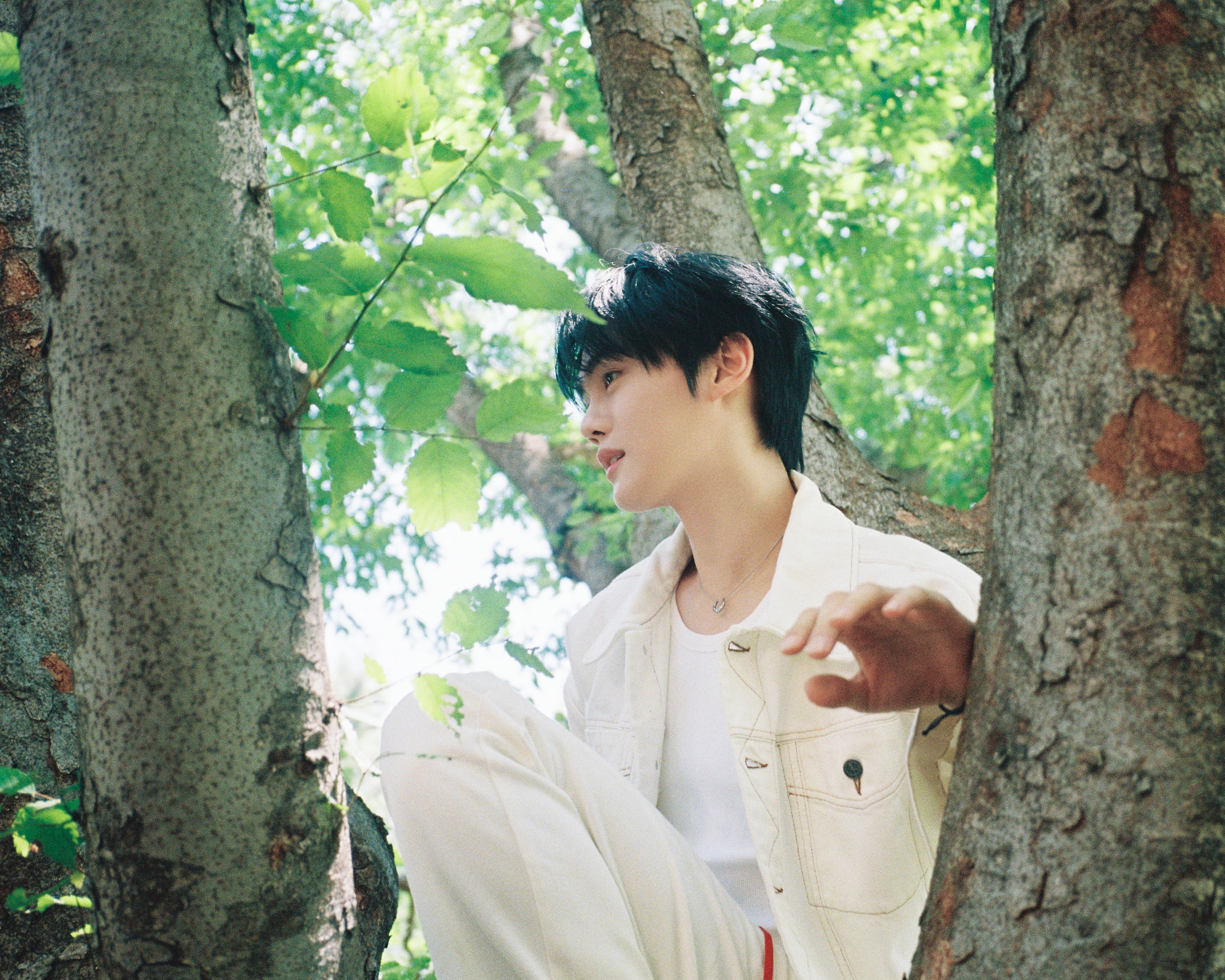 요즘 계절감에 딱 맞는 느낌인 제베원 컨셉포토.jpg | 인스티즈