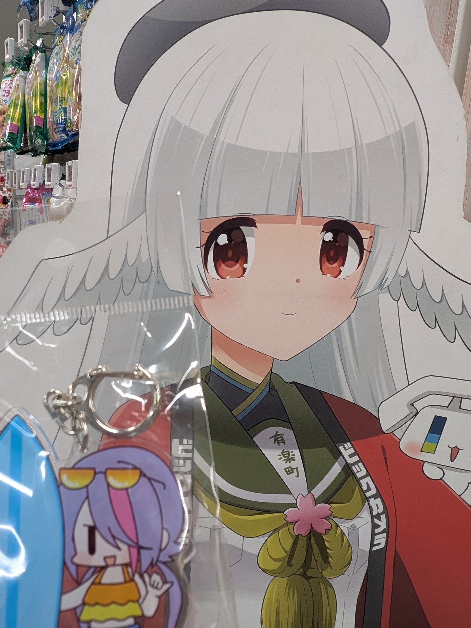 ビッカメ娘　さがみたん アクリル キーホルダー　ご当地　ビックカメラ 限定 ビックカメラ有楽町店 on X: 