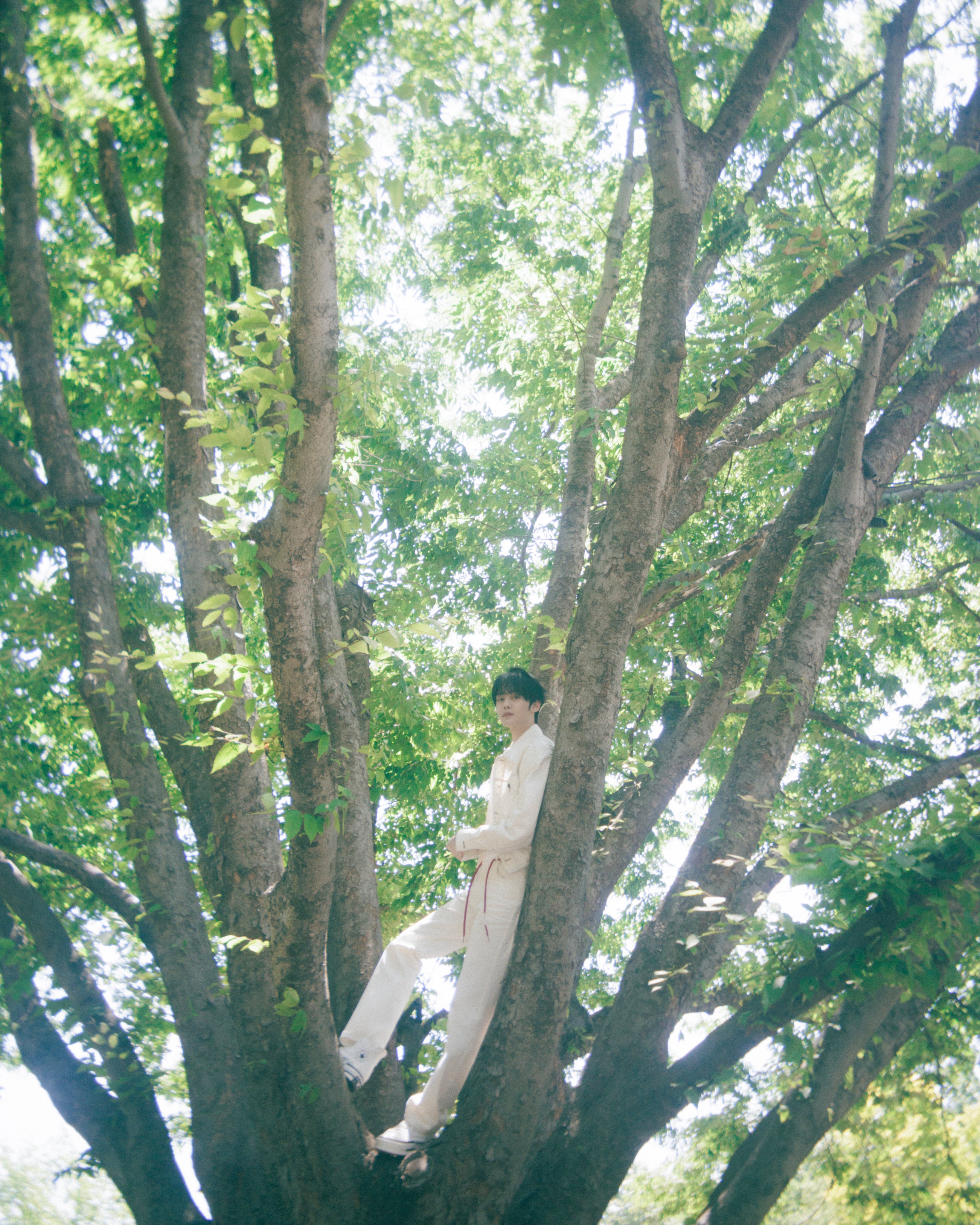 ZEROBASEONE THE 1ST FULL ALBUM ❝𝙉𝙀𝙑𝙀𝙍 𝙎𝘼𝙔 ❞ Concept Photo ORDINARY ver | 인스티즈