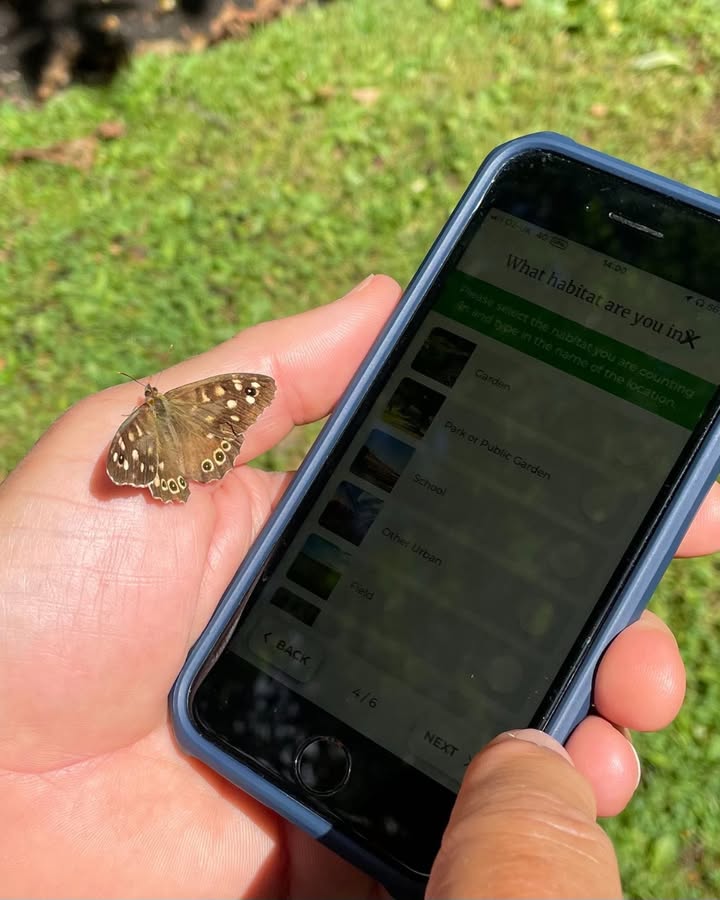 Butterfly Conservation 🦋 (@savebutterflies) on Twitter photo It's the final weekend to get out for the #BigButterflyCount and help take nature's pulse 🦋
You don't need to be an expert to make a big difference for butterflies and moths. All you need is 15 mins, a spot of sunshine and patience! …erflycount.butterfly-conservation.org
📷: <a href="/pallantmedical/">pallantmedical</a> It's the final weekend to get out for the #BigButterflyCount and help take nature's pulse 🦋
You don't need to be an expert to make a big difference for butterflies and moths. All you need is 15 mins, a spot of sunshine and patience! …erflycount.butterfly-conservation.org
📷: <a href="/pallantmedical/">pallantmedical</a>