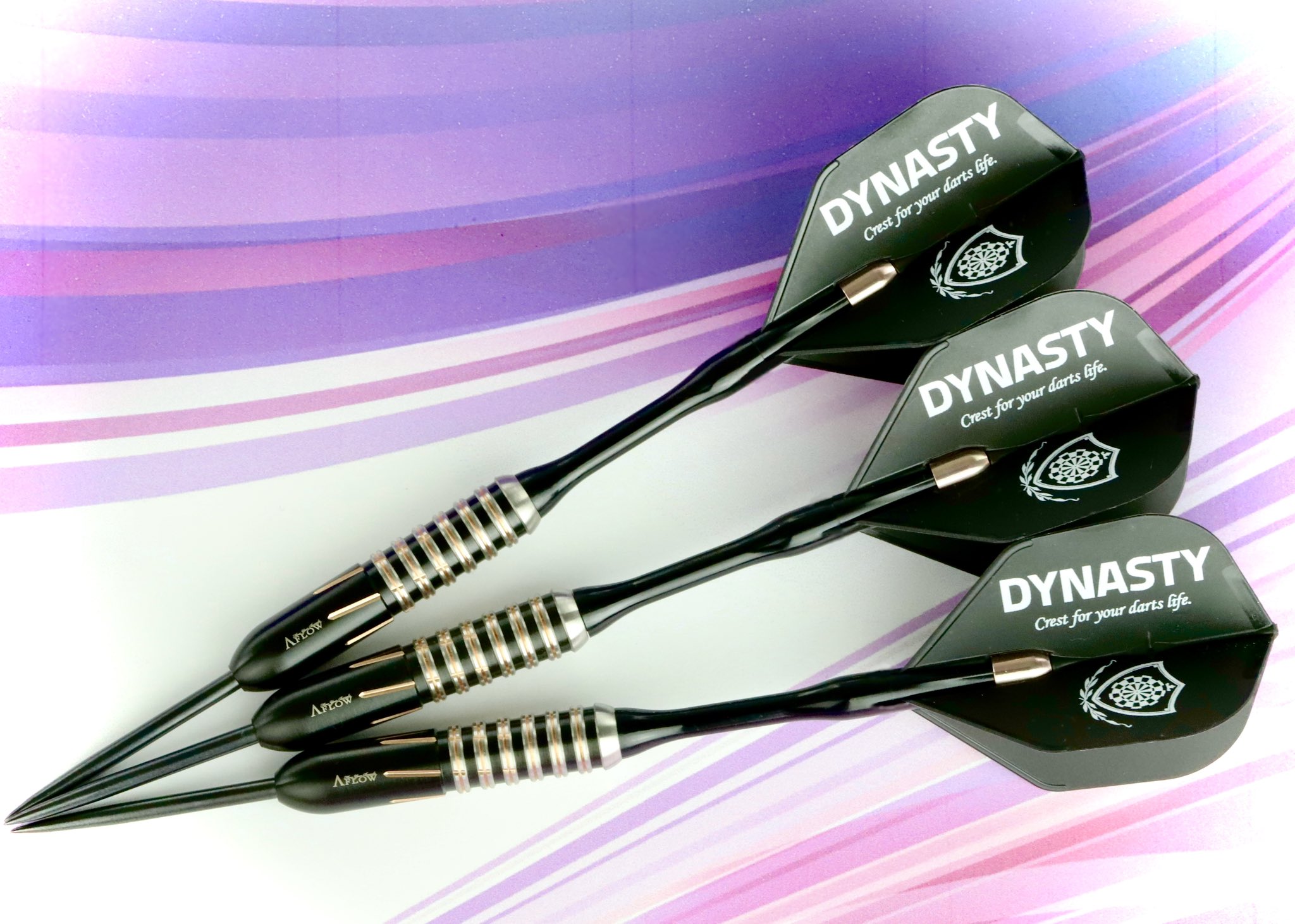 ダーツ SATSUKI FUJIWARA STEEL DARTS Satsuki Fujiwara Steel Darts