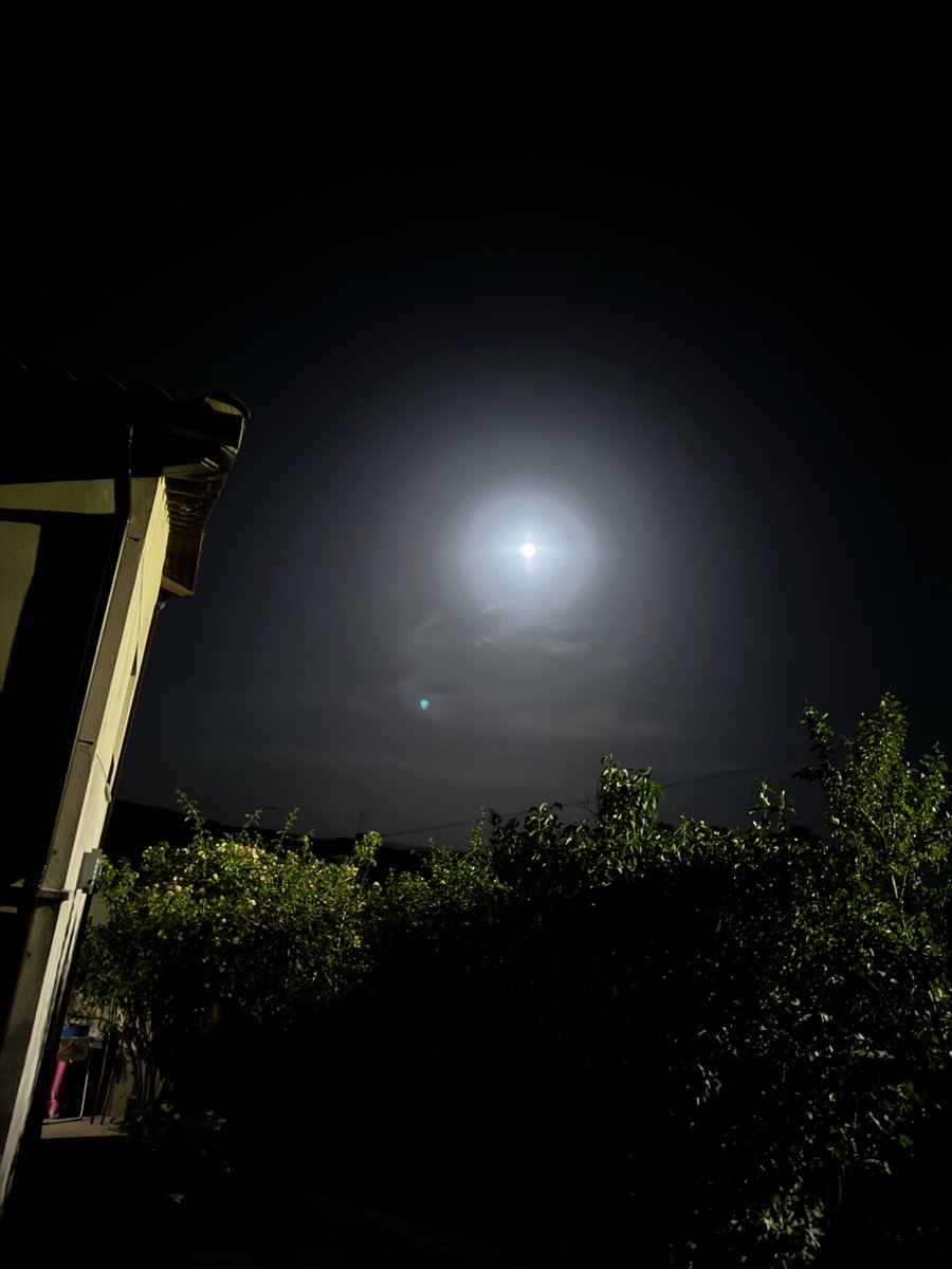 javituda's tweet image. 