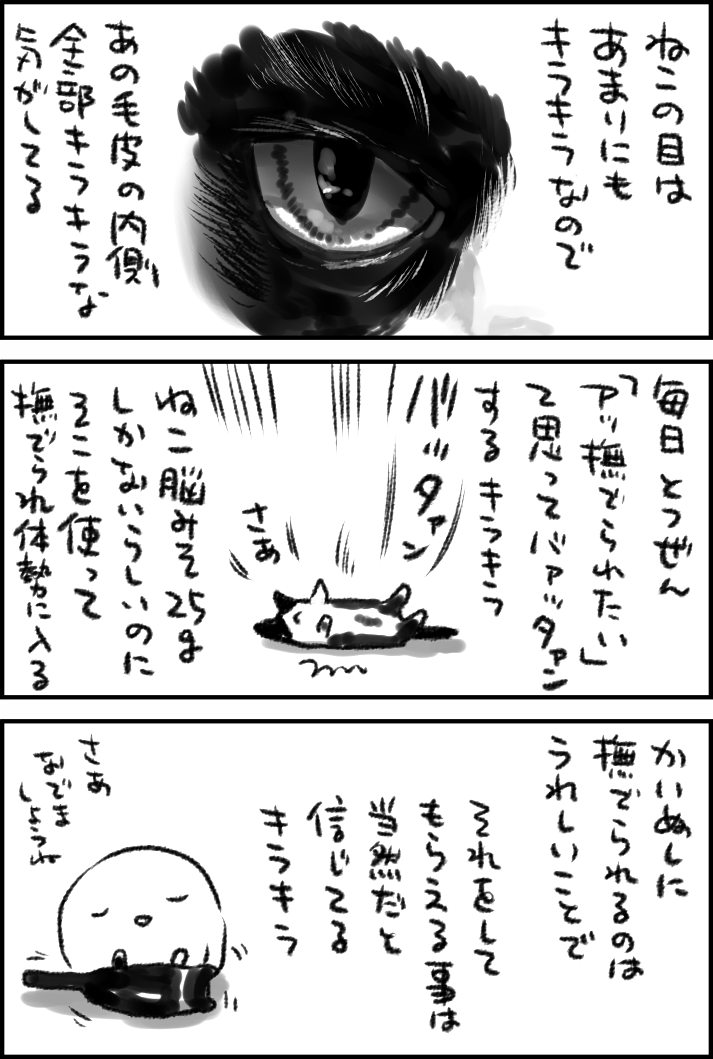#世界猫の日 