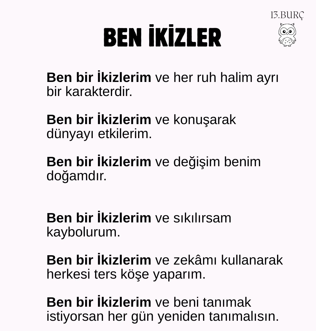 BEN İKİZLER