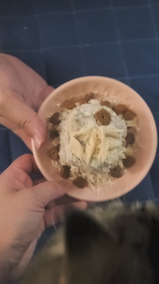 사랑하는 계피박하~ 고양이축하합니다🎵