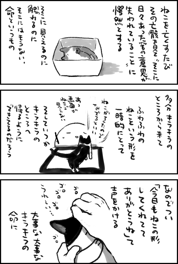 #世界猫の日 