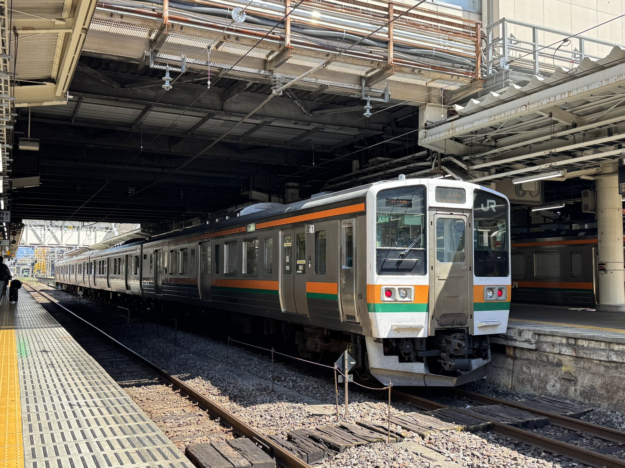 岐路に立つ自営業 専門職の拡大と行方 岐路に立つ自営業 専門職の拡大と行方(仲修平) / 五山堂書店