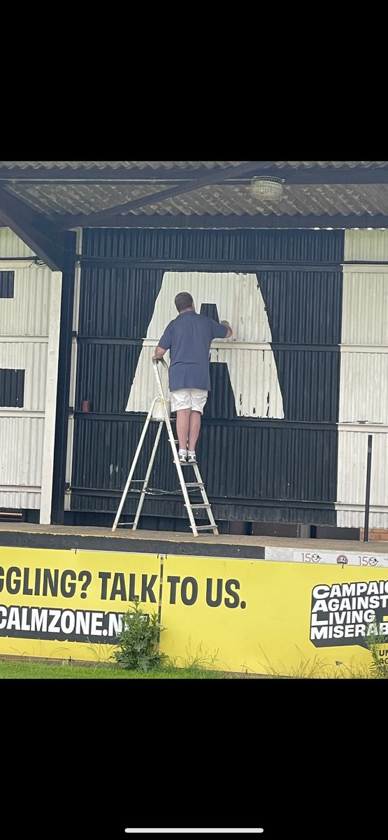 Mark Stewart tweet media