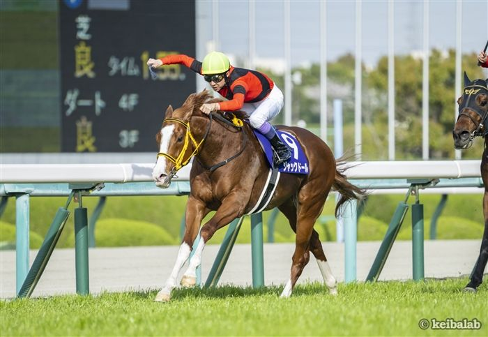 【いつまでもグラスワンダーと共に】
#グラスワンダー #訃報
keibalab.jp/db/horse/19951…