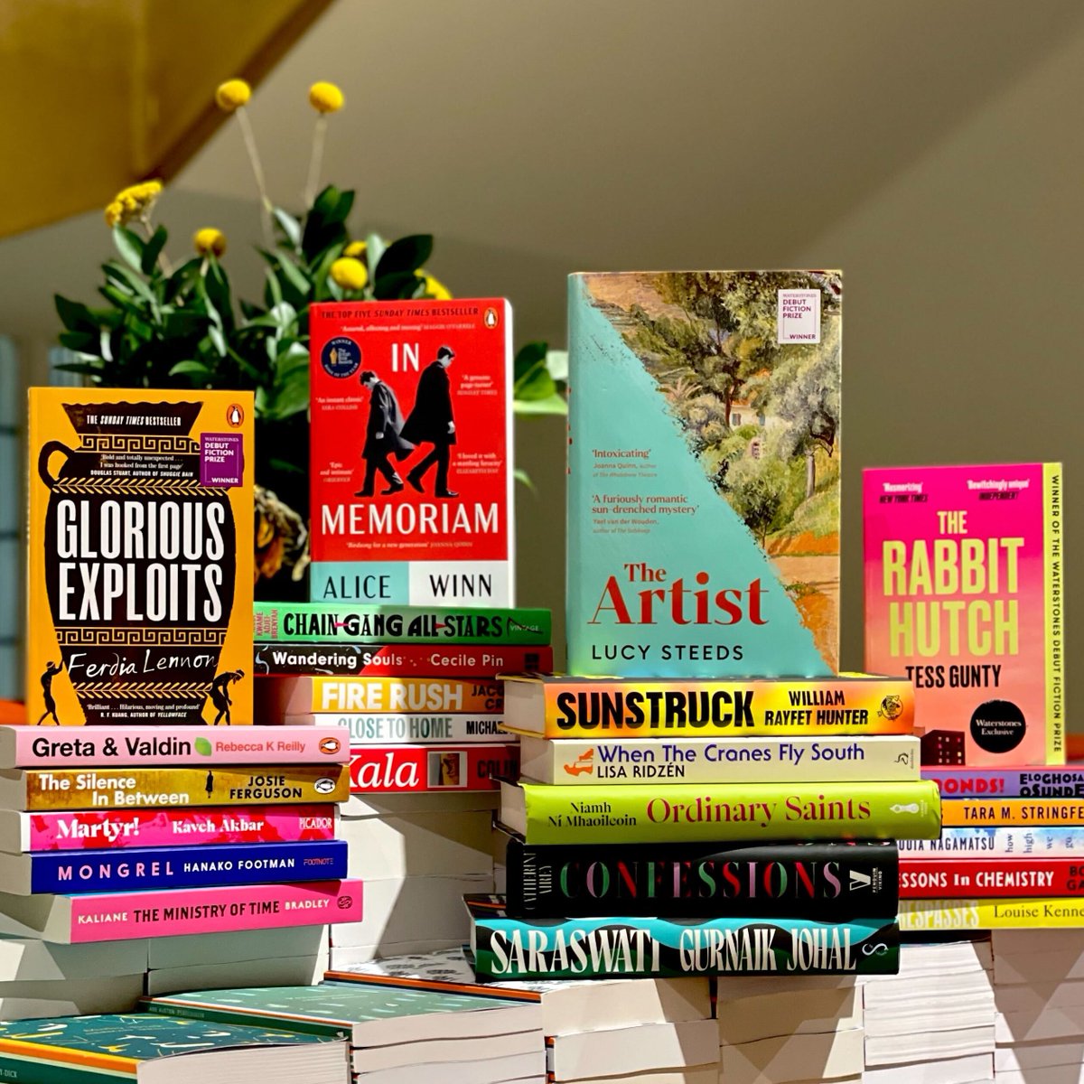 Waterstones's tweet image. What a line up! Four years of the incredible Waterstones Debut Fiction Prize… Which one is your favourite and which is still on your TBR? 🤩 

Find them here: waterstones.com/category/cultu… #WDFP