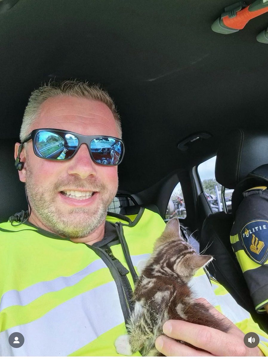 Deze kitten werd donderdag aangetroffen in de middenberm van de A7 bij Wognum. Gelukkig wist iemand de kitten te vangen. Hoe hij daar terecht is gekomen is onbekend. De collega’s van Hoorn hebben het beestje veilig naar de opvang gebracht.