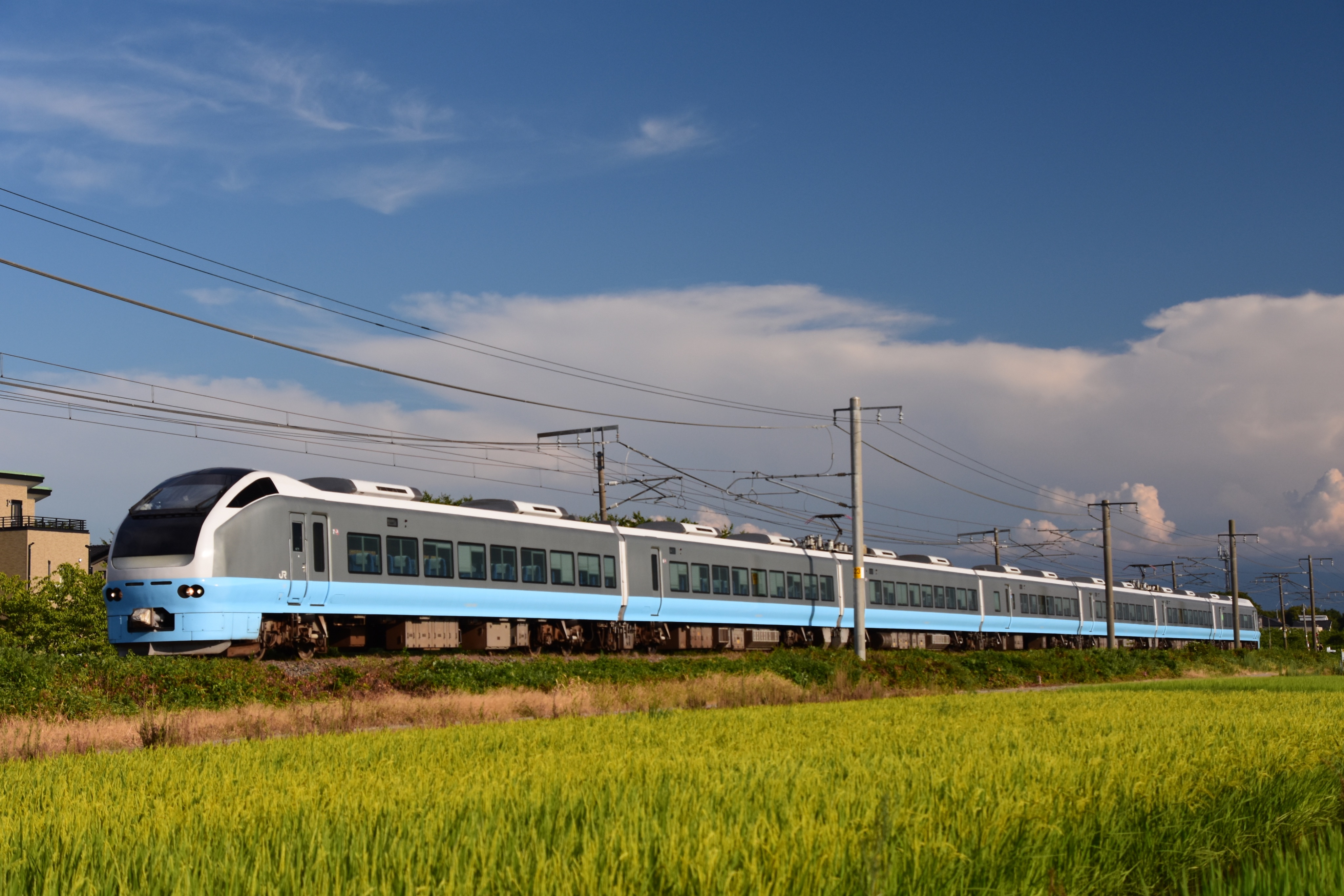 まぁぬこ❄️🍏 (@HiClabel) / X