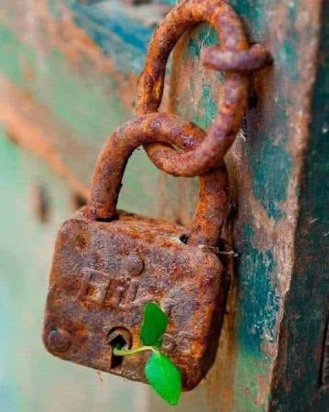 #لا شيء ، يستحق أن تتألموا من أجله ، سوى ذنوبكم .
استغفرو الله العظيم و توبو إليه....☝️👌🤲