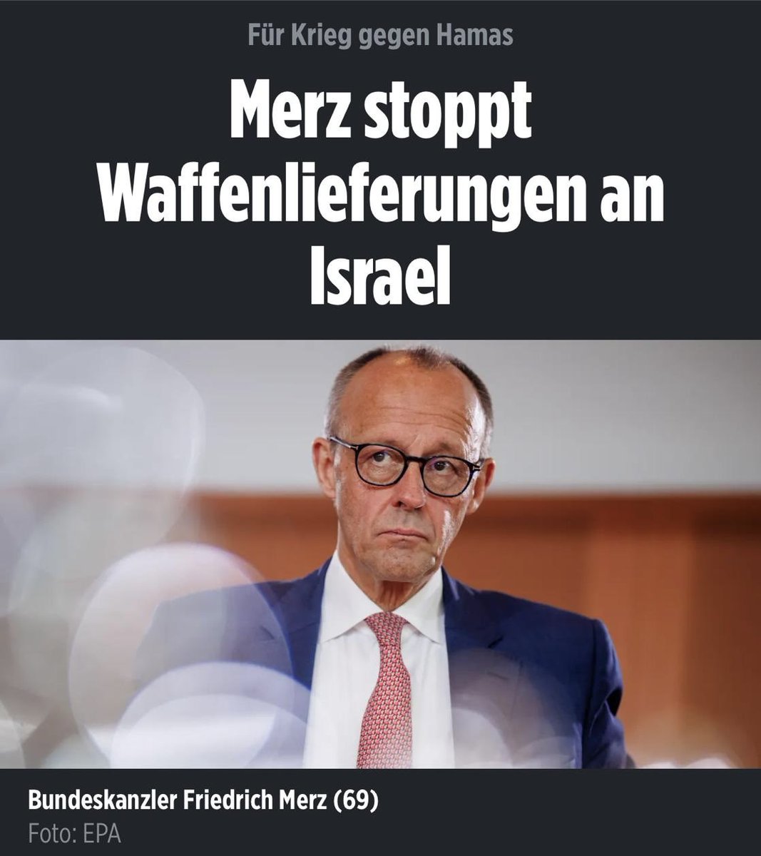 malca goldstein-wolf tweet media