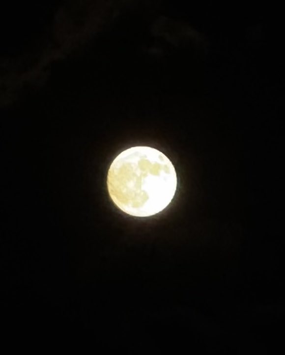 🌕