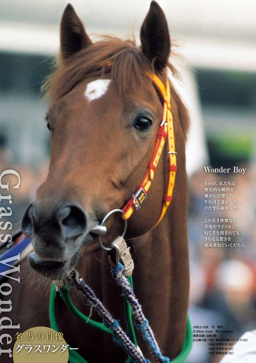 偉大なる名馬に敬意を込めて
安らかに…