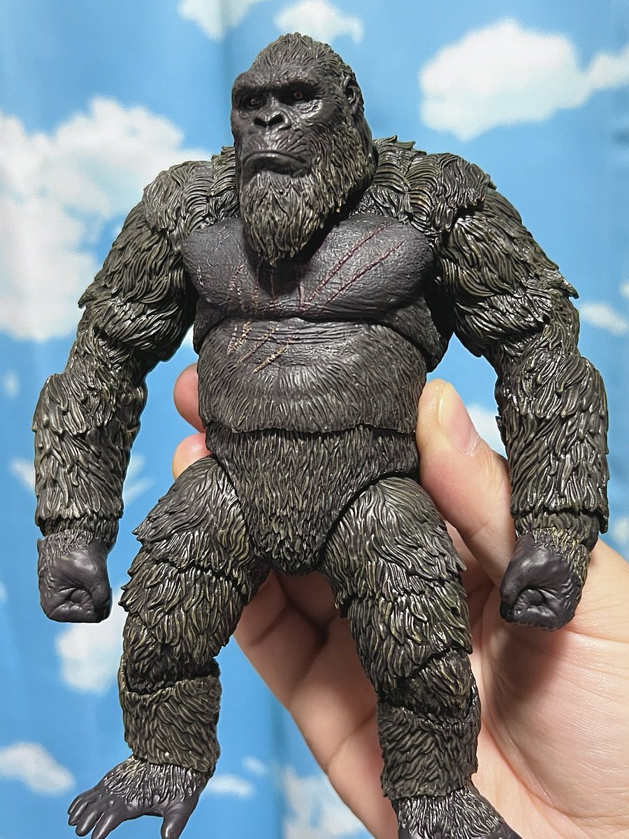zero_cola2050's tweet photo. ほんと理想のゴリラフィギュア🦍
ありがとうハイヤトイズ🙏 https://t.co/tFSVekgvbs