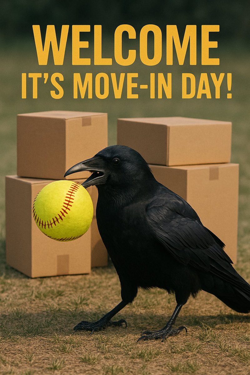 Adventure awaits! Let's go! #goraven #team30