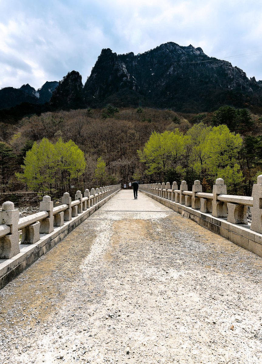 Seoraksan National Park, a UNESCO Biosphere Reserve, is a treasured destination known for its dramatic granite peaks, lush valleys, and rich biodiversity.