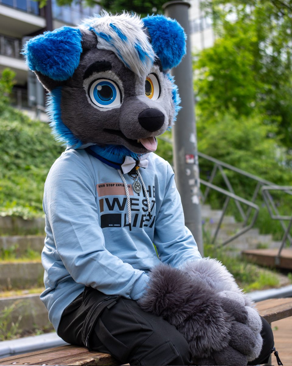 Another cool photo from my love @angelo_the_furry_wolf ❤️
Thanks you so much my cutie 🥰❤️
Happy #fursuitfriday everyone 🫂
#furrywolf #furries #fursona #fursuiter #fursuit