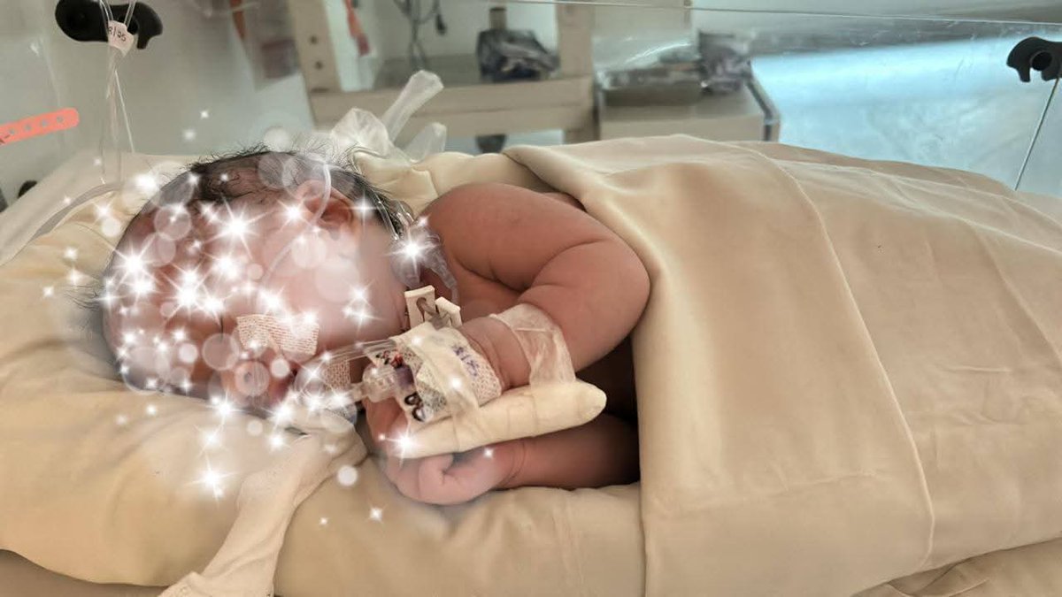 Hindu Voice (@hinduvoice_in) on Twitter photo #Update
Her condition is stable now. She gave birth prematurely. BJP leader Suvendu Adhikari <a href="/SuvenduWB/">Suvendu Adhikari</a> arranged her treatment in a private hospital in #Siliguri. #Update
Her condition is stable now. She gave birth prematurely. BJP leader Suvendu Adhikari <a href="/SuvenduWB/">Suvendu Adhikari</a> arranged her treatment in a private hospital in #Siliguri.