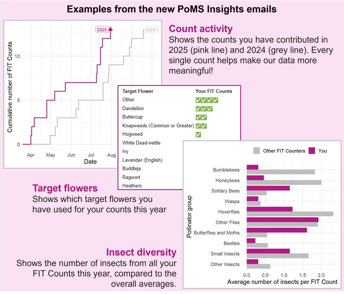 UK Pollinator Monitoring Scheme tweet media