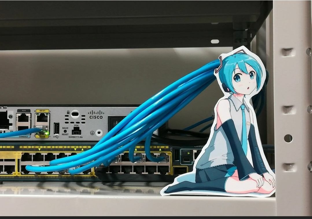 Shitpost 2077 (@shitpost_2077) on Twitter photo 