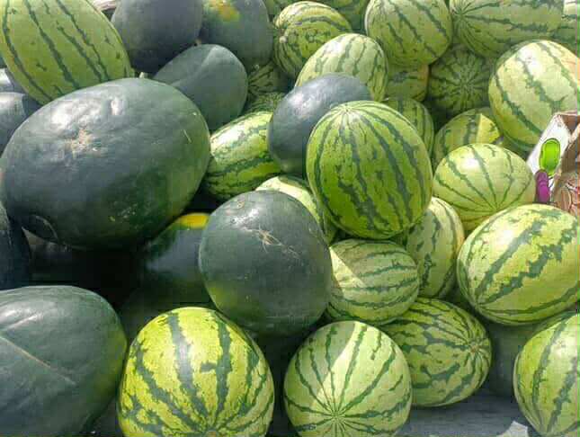 Ховдын Ганаа Ховдын тарвасаа зараад байна гэж хэлээд байгаан бишүү.
99435360 дугаар луу залгаад хүргүүлээрэй