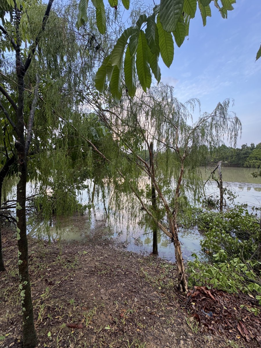 crazy thunderstorms. reservoir up by 15 feet