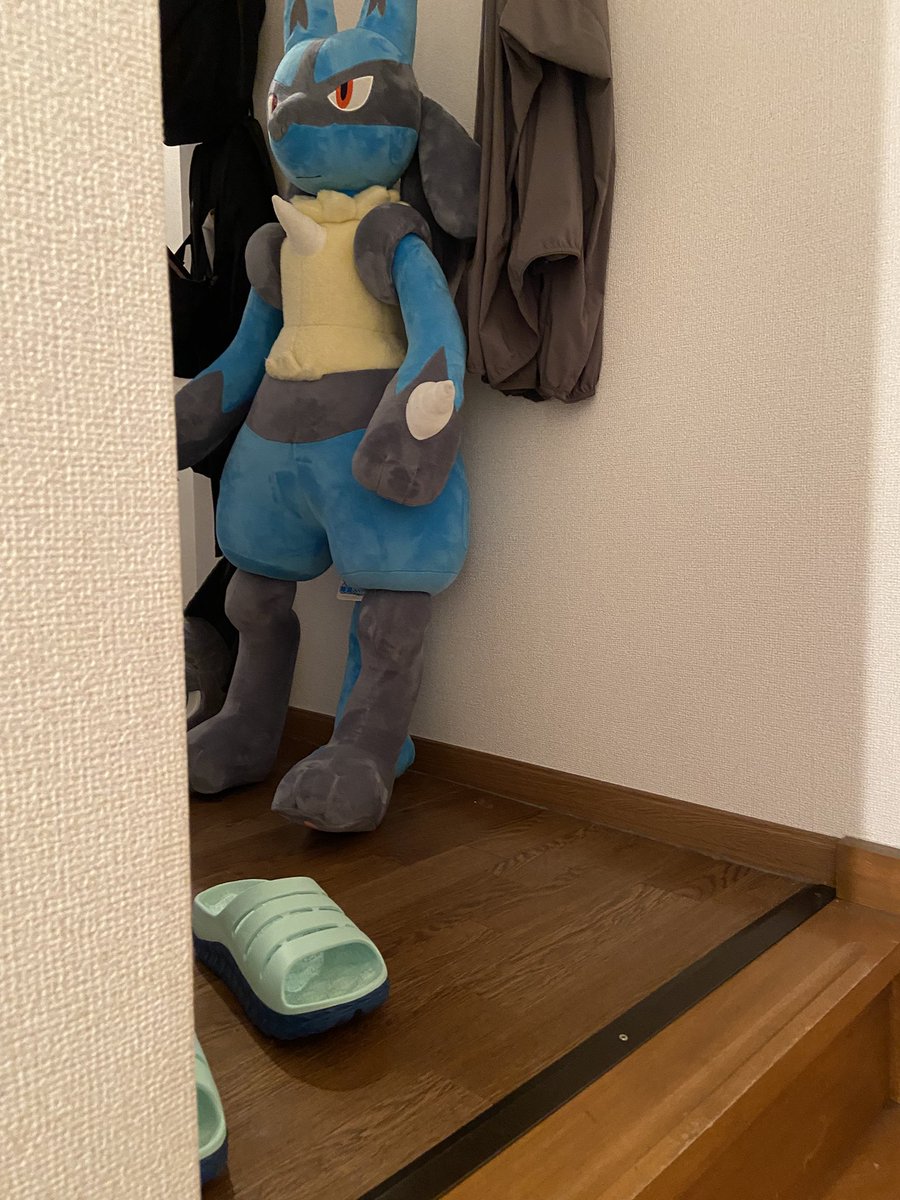 階段上がった先にこいついて空き巣かと思って心臓止まるかと思った