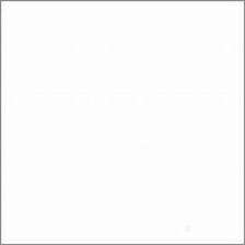 bizzloe's tweet image. Test ht #zonauang