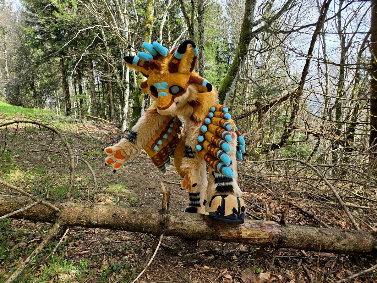 Who put this in my way 🤨

🪡 : <a href="/TheKarelia/">TheKareliaFursuits 🔜 NFC</a>
📷 : <a href="/Flick_08/">Flick</a> 

#FursuitFriday