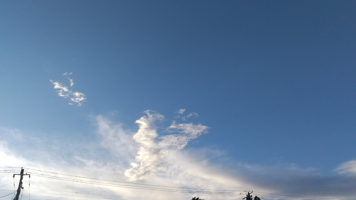 行ってきたよ～🦥✨

昨年12/31にイモ天でお迎えしたしわすくんを是非とも山形に連れて行きたかった！

空がキレイだったな